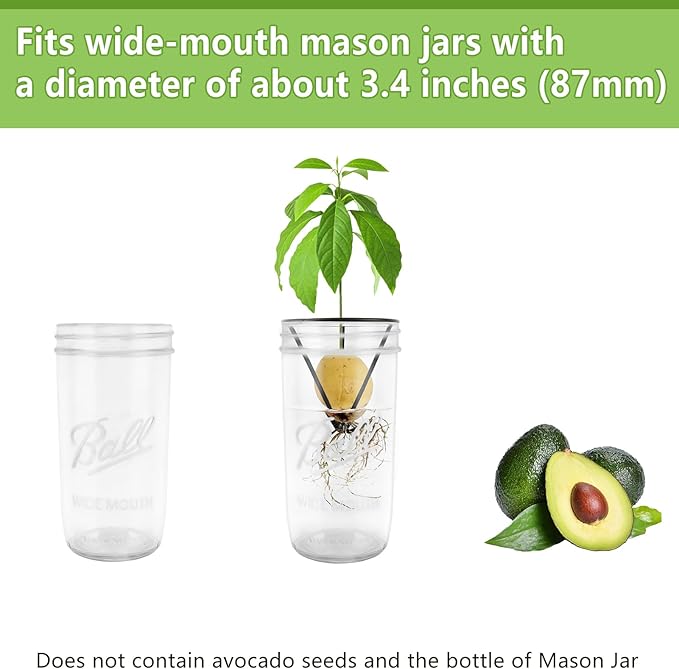 Plus tard 4Pcs Avocado Seed Starter Rack for Mason Jar of Wide-Mouth, Avocado Seed Holder Triangular Metal Bracket for Family Friends and Gardening Enthusiasts