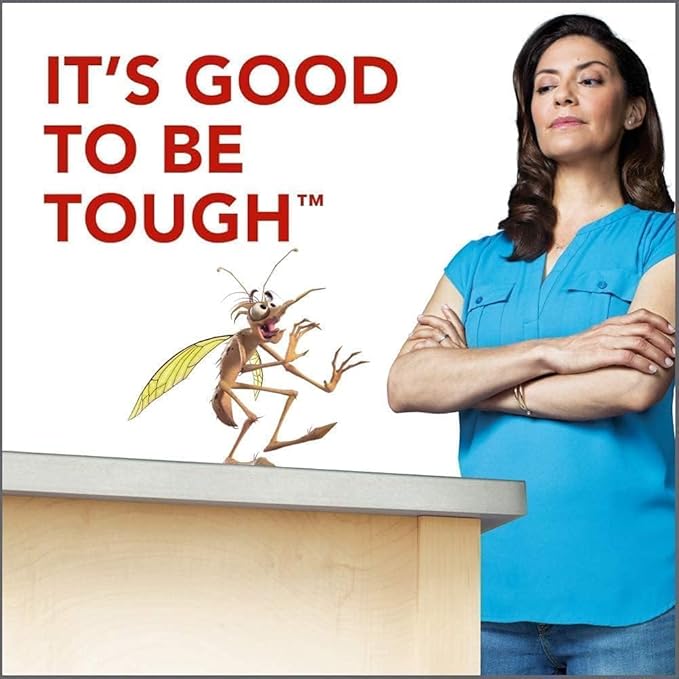 Raid Flying Insect Killer - Effective Bug Control Spray for Indoor & Outdoor Use - Fast-Acting Pest Repellent, 15 Oz (Pack of 8)