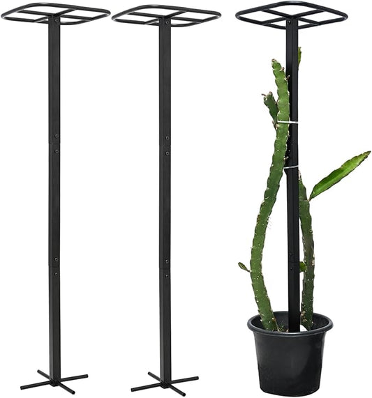 2PCS Dragon Fruit Trellis - Metal Plant Support for Climbing Plants in Outdoor Gardens, Easy Assembly, 12'' x 12'' x 50'' Size, Durable & Weatherproof Garden Support System