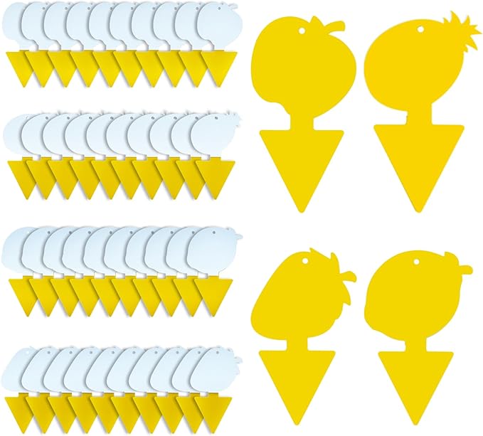 Fruit Fly & Fungus Gnat Traps 40 Pack – Yellow Sticky Gnat Traps for House Indoor & Outdoor Plants, Non-Toxic and Odorless Insect Bug Catcher