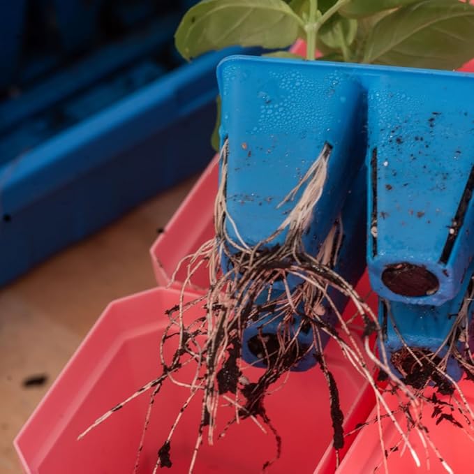 Bootstrap Farmer Ultimate Seed Starter Kit Black for Indoor Seed Starting, Propagating, Germinating