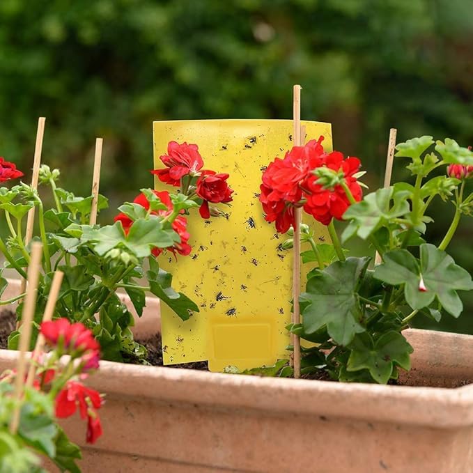 Gideal 50-Pack Dual-Sided Yellow Sticky Traps for Flying Plant Insect Fungus Gnats Whiteflies Aphids Leafminers Thrips (6x8 Inches, Included 50pcs Twist Ties)