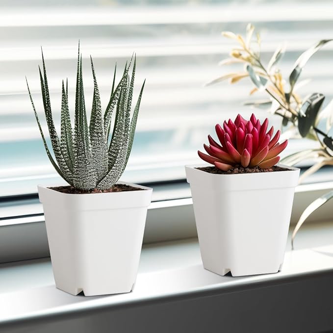 BTPLASTIK 120 Pcs Nursery Pots 3.5 Inch, Plastic Seed Starting Pot with Drainage Holes, Small Sturdy Seedling pots for Planting, Cuttings (White)