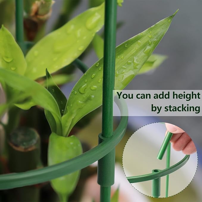 36 Packs Plant Support Stake, Half Round Stackable 3 Tier Garden Flower Support, Plant Stakes for Indoor Outdoor Plants Tomato,Monstera, Peony, Hydrangea, Climbing Plants