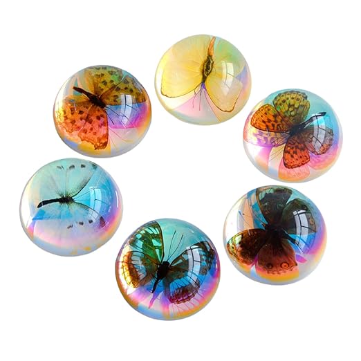 Real Butterfly Specimens, Resin Insect Specimens, Educational Bugs Specimen Set for Kids, Preschool Education, Biology, Insect Lovers (Butterfly Specimens)