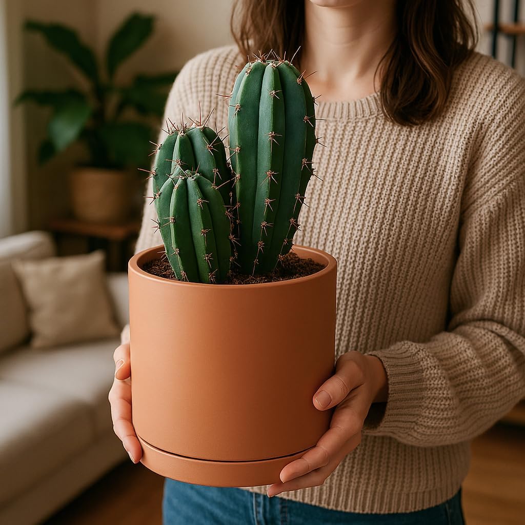 D'vine Dev Terracotta Pots for Plants, 5.3 Inch 6.5 Inch 8.3 Inch, Round Cylinder Planter Pot with Drainage and Saucer, 40-T-B-0