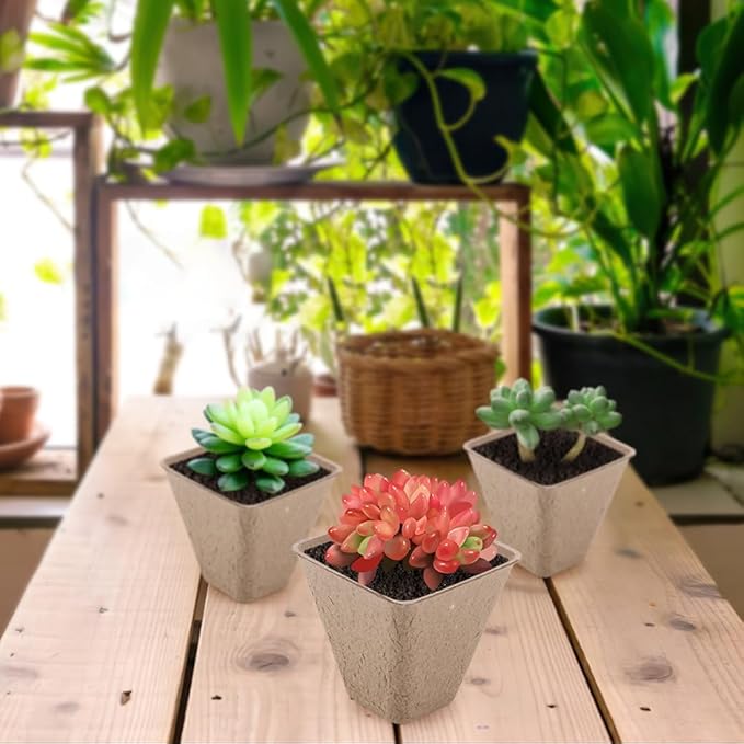 Seed Starter Trays, 174 Pcs 3.15 Inch Square Biodegradable Peat Pots, Drainage Holes Nursery Pot, (Light Brown Square)