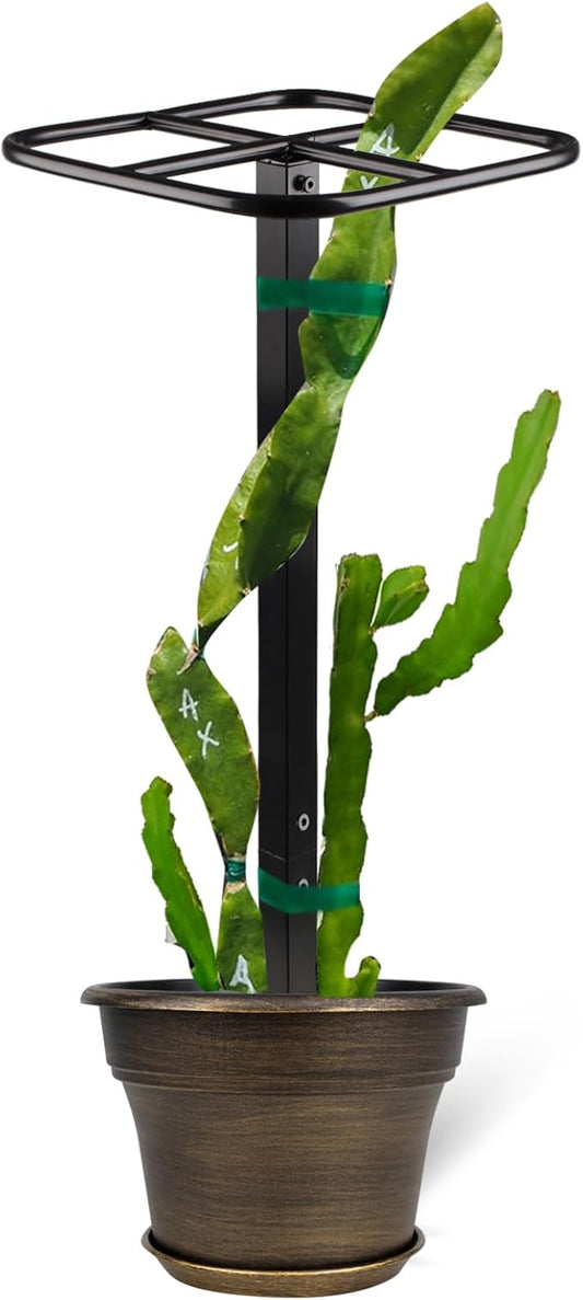 Premium Dragon Fruit Trellis - Durable Metal Trellis for Vertical Gardening and Climbing Plants - 12in x 12in x 50in