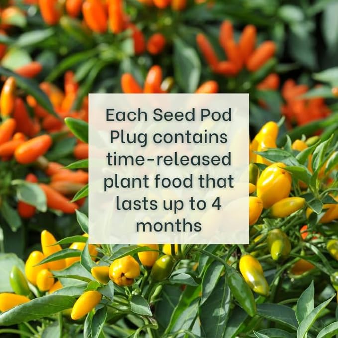 Taquito Pepper - Complete Seed Pod Plugs with Plant Food - 10 Pods for Hydroponic Gardens, Click and Grow, Lettuce Grow and Outdoor Gardens