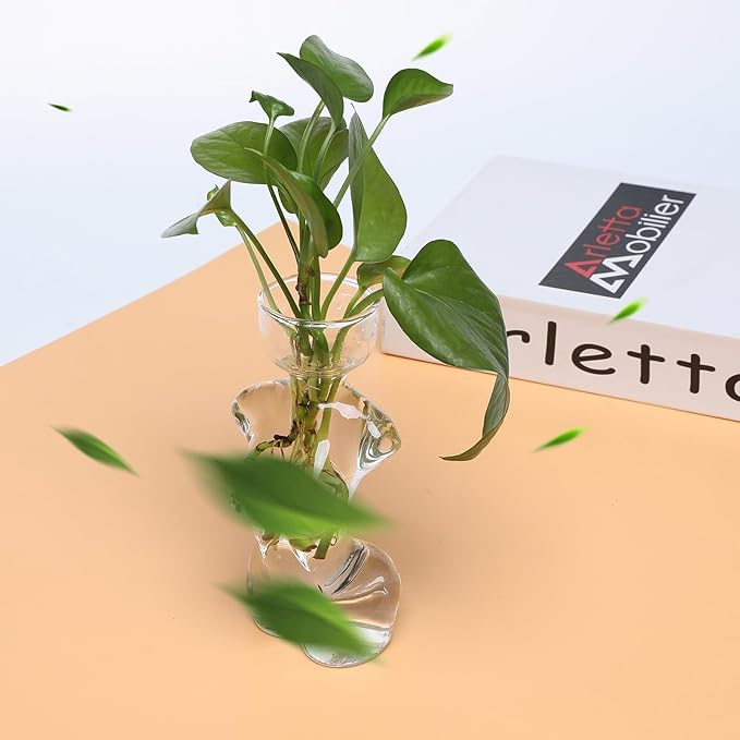 Propagation Vases for Plants Plant Propagation Jars Unique Body Avocado Vase Glass Planter Perfect for Seed Starting, Water Rooting and Home Decor Gift for Father