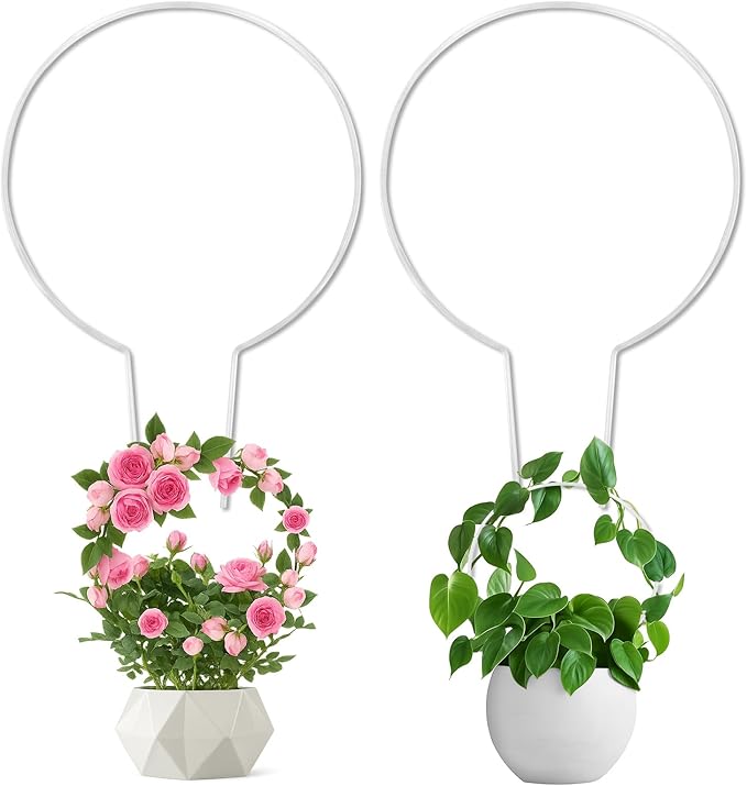 2-Pack Round Acrylic Plant Trellis for Potted Plants Indoor Outdoor - Small Climbing Plant Trellis Support for Hoya, Pothos, Vine, Ivy, Monstera, Flower, Philodendrons, Dischidia