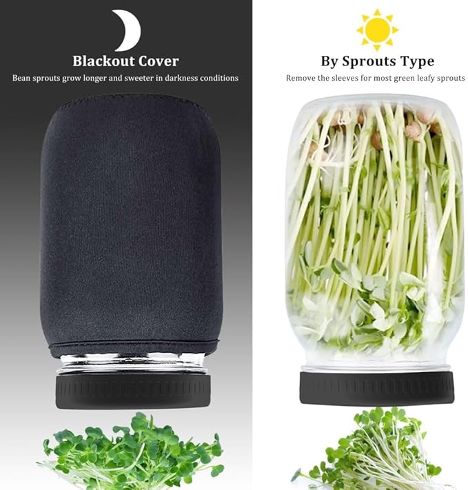 Organic Seed Sprouting Jar Kit – 2 × 32 oz Wide-Mouth Mason Jars with Stainless-Steel Sprouter Lids & Stand, Blackout Sleeves, Drain Tray – Grow Broccoli, Alfalfa & Bean Microgreens
