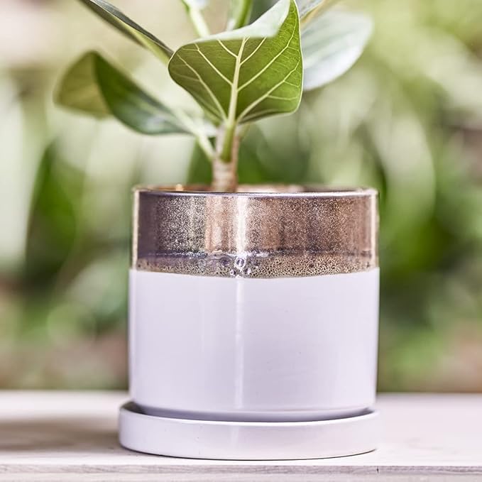 CHIVE ‘Minute’ Ceramic Planter Pot — Cute 5” Colorful Succulent Pots for Indoor & Outdoor House Plants — Beautiful Modern Farmhouse Kitchen Decor — Bronze and White