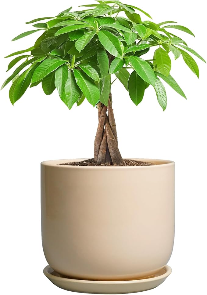 Ceramic Plant Pot - 7 Inch Mid Century Round Ceramic Planter for Indoor Plants with Drainage Hole and Saucer, Modern Home Decor, Yellow