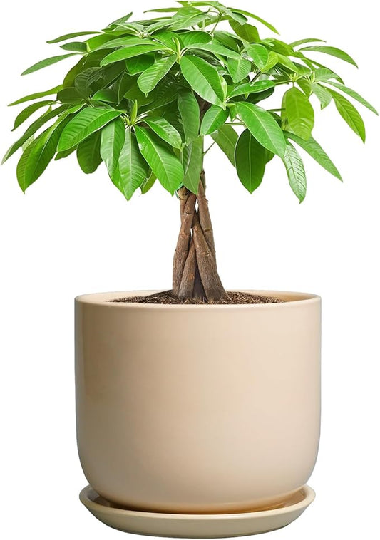 Ceramic Plant Pot - 7 Inch Mid Century Round Ceramic Planter for Indoor Plants with Drainage Hole and Saucer, Modern Home Decor, Yellow