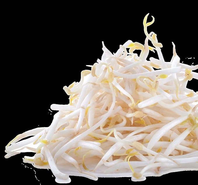 Nature Jims Premium Mung Bean Sprouting Seeds – 16 Oz – NON GMO- Resealable Bag for Longer Freshness – Rich in Vitamins, Minerals, Fiber