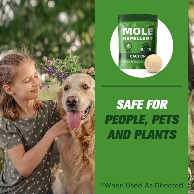 Mole Repellent Outdoor,Vole Repellent for Lawn,Yard,Pet and People Safe Gopher Repellant,Natural Ingredients Groundhog Repellent,Convenient to apply-8P