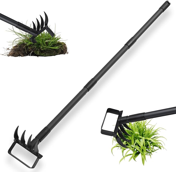 Hula Garden Hoe and 4 Tines Rake 2-in-1 Garden Tool for Weeding, Garden Cultivator with 62.6" Adjustable Long Handle Heavy Duty Weed Puller Stirrup Hoe for Ditching, Seeding, Loosening Soil
