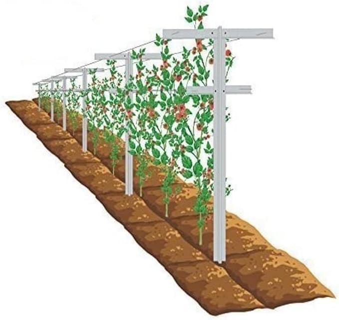 MRGARDEN Raspberry Trellis with Adjustable Arms, Raspberry Stake, Vineyard Trellis 1 Pack