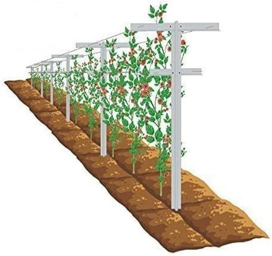 MRGARDEN Raspberry Trellis with Adjustable Arms, Raspberry Stake, Vineyard Trellis 1 Pack