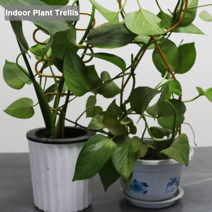 Small Metal Trellis for Potted Plants, 3 Pcs Gold Trellis for Climbing Plants Indoor, Plant Support Stake Mini House Plant Trellis for Hoya, Flower, Pothos, Monstera