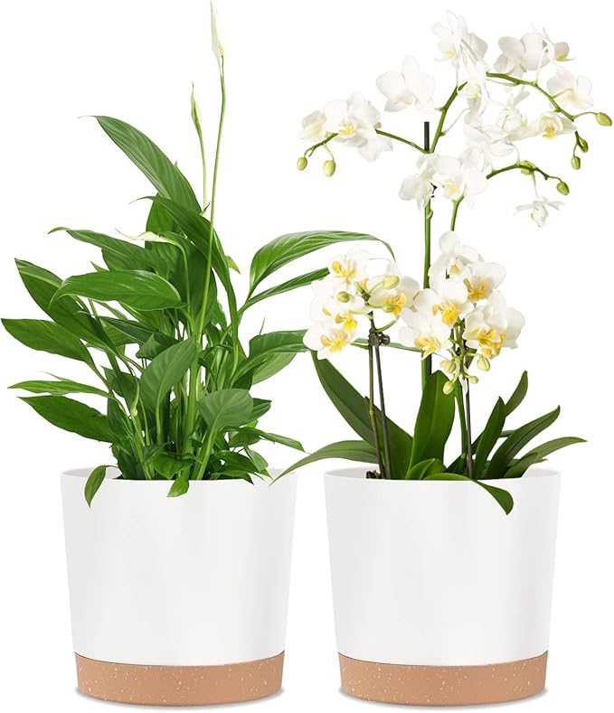 kubvici 2 Pack 8 Inch Planters for Indoor Plants, Plastic Flower Pots Plant Pots Indoor with Drainage Saucer for Outdoor Garden Home Plant, White 8”