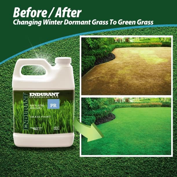 Endurant Turf Colorants - Perennial Rye Spray On Green Grass Paint For Lawns - Revives Dry, Patchy Yards - Light Grass Hue - Easy To Use, Concentrated Turf Grass Dye - Covers Approx 1,000 Sq Ft - 32Oz