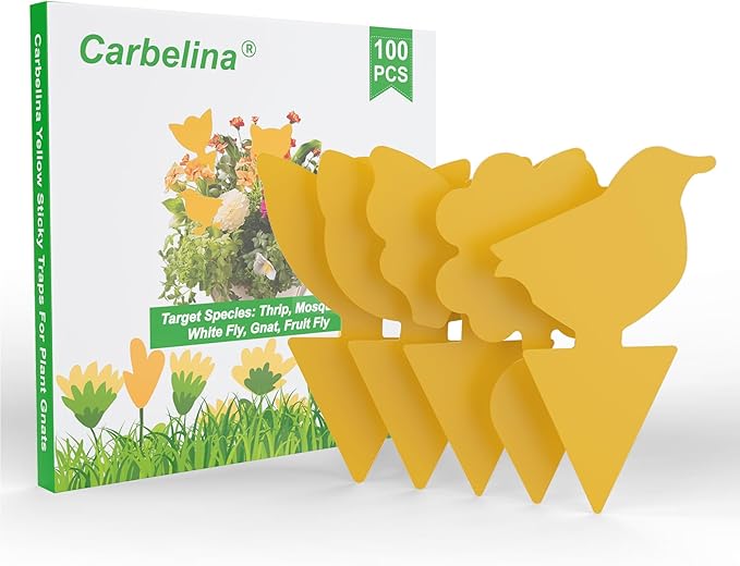 Yellow Sticky Traps for Plant Gnats, Plant Fly Sticky Trap Sticks for Indoor/Outdoor, 100PCS, Non-Toxic, Odorless, Harmless to Vegetables, Fruits, Plants