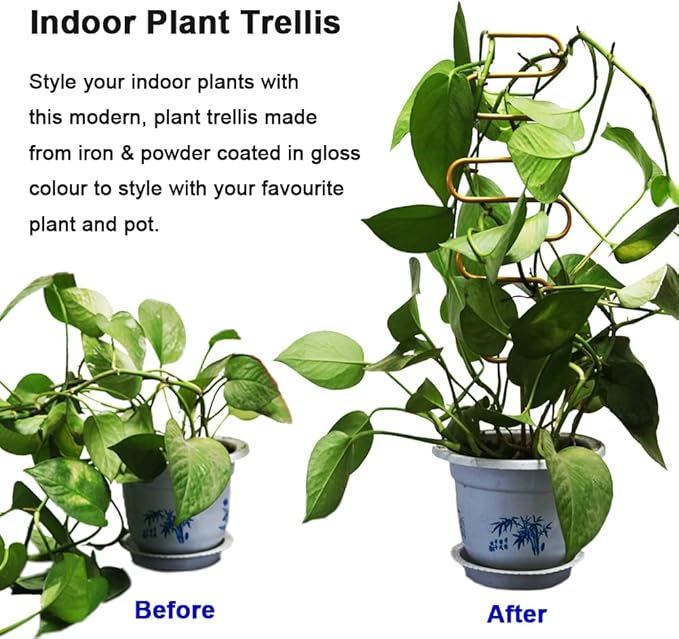 Small Metal Trellis for Potted Plants, 3 Pcs Gold Trellis for Climbing Plants Indoor, Plant Support Stake Mini House Plant Trellis for Hoya, Flower, Pothos, Monstera