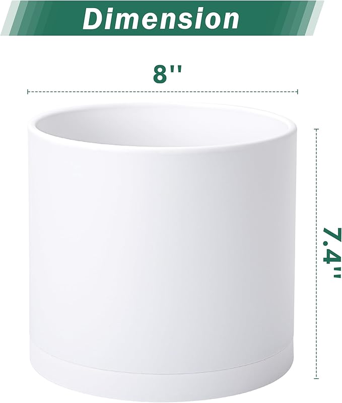 D'vine Dev 2 Pack 8 Inch Modern Plastic Plant Pots, Cylindrical Garden Planters for Plants with Drainage Holes and Saucers, White, 74-Z-M-1