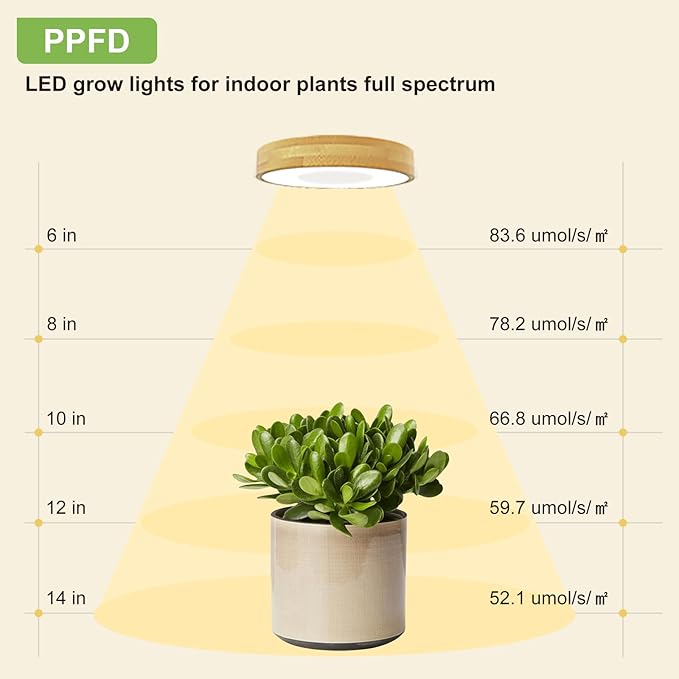 Grow Light for Indoor Plants, 96 LEDs Full Spectrum Halo Plant Light with Auto On/Off Timer (4/8/12H), 10-Level Dimmable, 3 Lighting Modes for Small Plants, Bamboo (3.6 inch Dual Head)