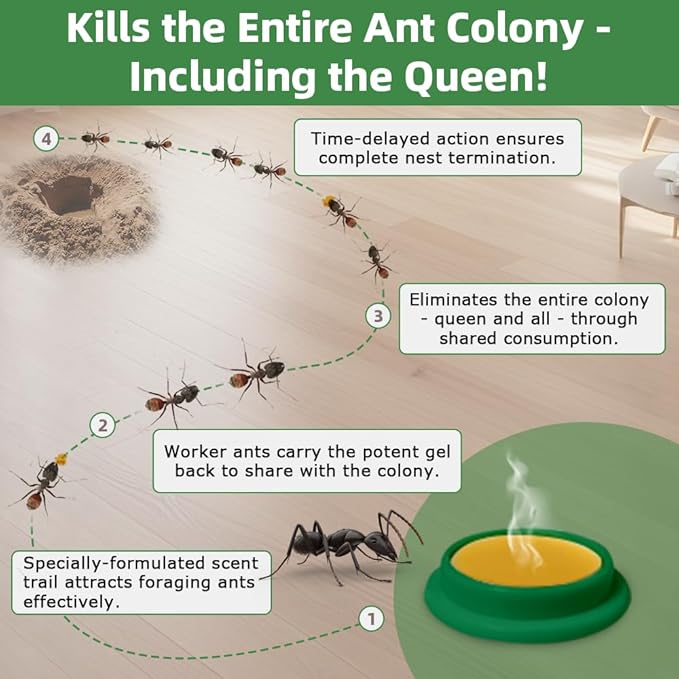 36 PCS Ant Killer Gel Bait Stations, Extra Strengthen Ant Bait Traps, Long-Lasting Effective Pest Gel for Carpenter Ants and Other Common Household Ants, No Mess Easy Use, Safe for Pets and Kids