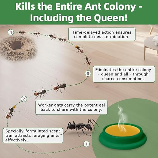 64 PCS Ant Killer Gel Bait Stations, Extra Strengthen Ant Bait Traps, Long-Lasting Effective Pest Gel for Carpenter Ants and Other Common Household Ants, No Mess Easy Use, Safe for Pets and Kids