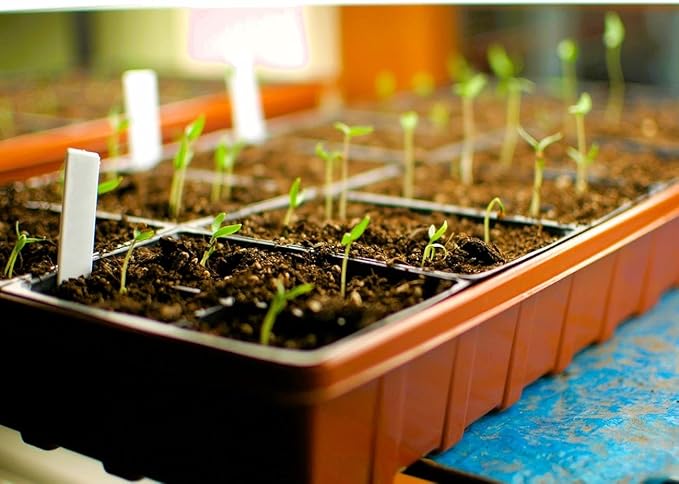 Propagation Mats Original from Manufacturer *Any (1, 11" x 24") RHS Propagation Mat, Reliable Water-Resistant Seedling Warming Mat, Heat Pad for Seed Germination