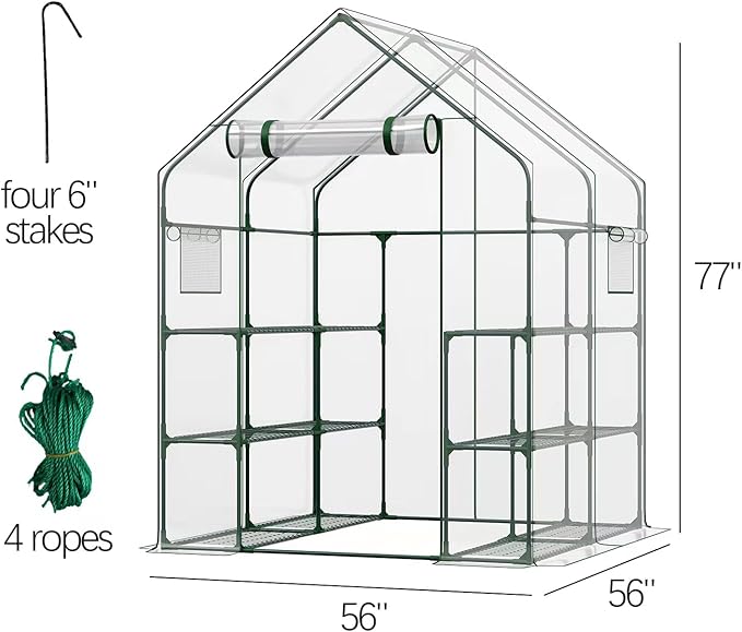 Walk in Greenhouse, 56x56x77 Inch Waterproof Green Houses for Outside, Portable for Outdoors with Roll-Up Zipper, Secure Hooks, Small Indoors Warm, 12 Shelves Walk-in (6.4x4.7x4.7FT)