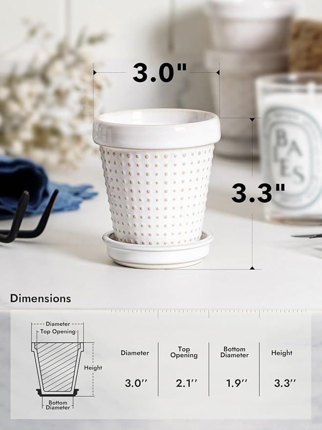 LE TAUCI 3 Inch Mini Succulent Pots - Very Small Ceramic Planter with Saucer, Tiny Embossed Flower Pots for Lithops, Mini Cactus, Air Plants, Fairy Gardens - Indoor Home Decor, Set of 4, Arctic White