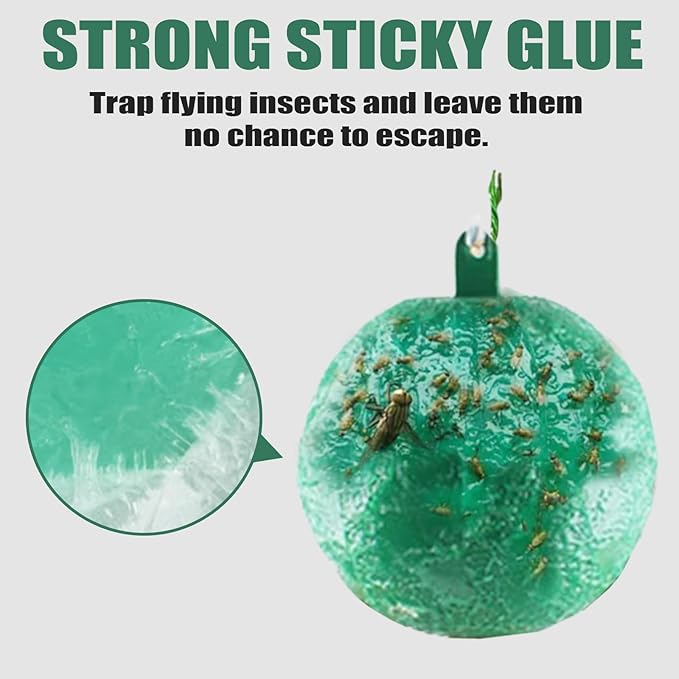 Fruit Fly Traps Ball Fly Trap Indoor, 6 PCS Hanging Bugs Sticky Ball Fly Trap Outdoor, Gnat Trap Ball for Indoor Outdoor House Kitchen Plants Trees (6PCS, Green)