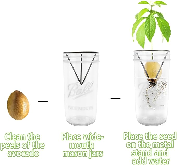 Plus tard 4Pcs Avocado Seed Starter Rack for Mason Jar of Wide-Mouth, Avocado Seed Holder Triangular Metal Bracket for Family Friends and Gardening Enthusiasts