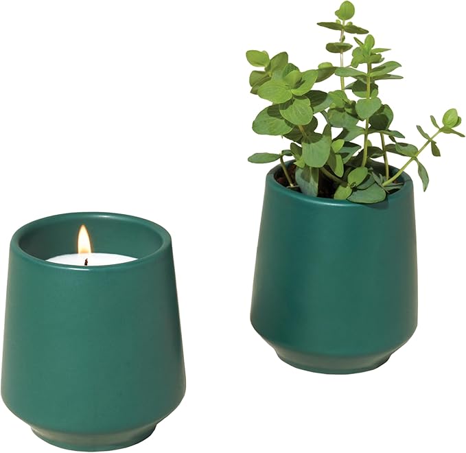 Modern Sprout Rooted Candle - 2 in 1 Tonka Bean Scented & Soy Candle with Seeds That Grows into Thyme Plant - 6 oz w/ 42 hr Burn time in Matte Glaze Ceramic Vessel Ideal for Indoor Herb Garden
