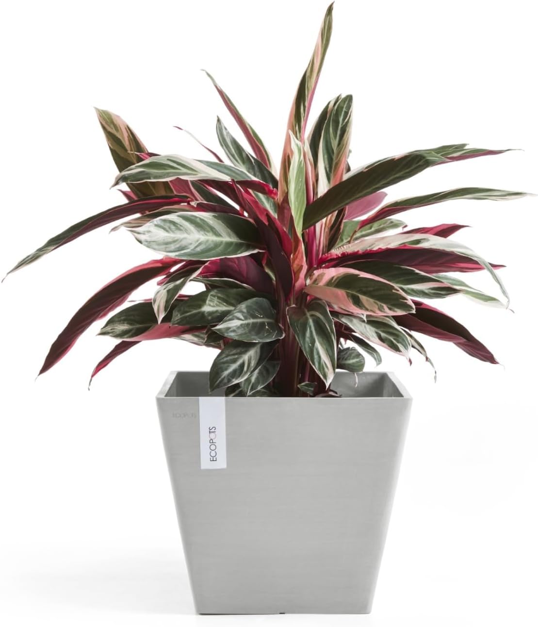 Ecopots Rotterdam Durable Modern Square Indoor/Outdoor Recycled-Based Composite Flower Planter, White Grey, 15.75"