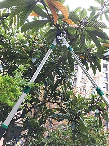 SK5 High-Performance Compound Action Anvil Lopper,Chops Thick Branches with Ease,2 Inch Cutting Capacity,28inch-40inch Telescoping Lopper, Tree Trimmer with Sturdy&Comfortable Handle