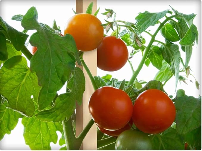 Greenes Fence 4 Ft. Garden and Sign Post Stakes (100 Pack)