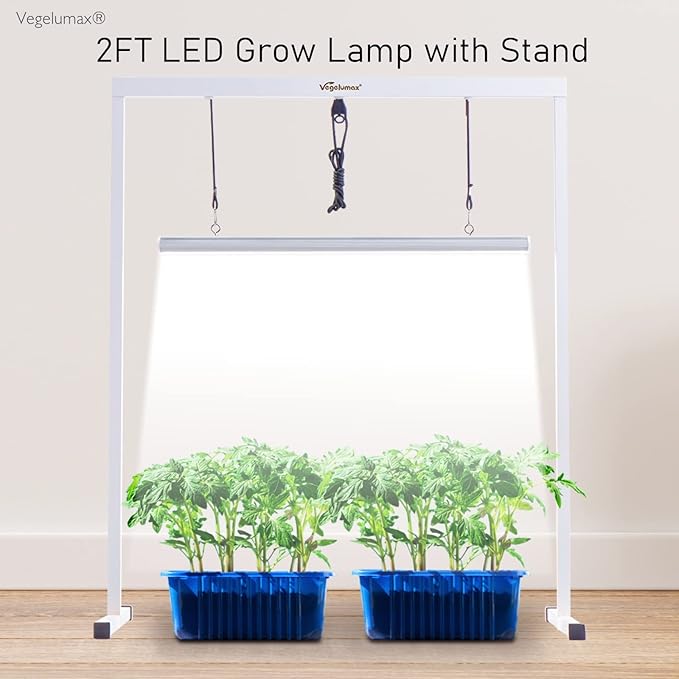50Watt 2 Feet LED Grow Light Lamp Stand Rack with White Light Full Spectrum CRI90+ for Seedling,Seed Starting Plant Growing,Iron Pipe Frame,Aluminum Heat Sink,CCT6500K,Lamp Height Adjustable