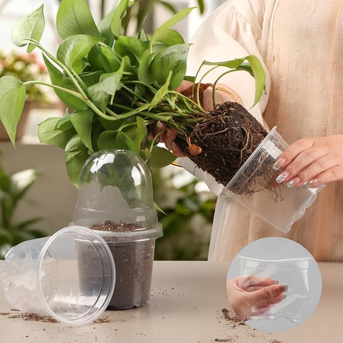 Transparent Nursery Pots 4Inch with Humidity Domes for Seeds Starting, Clear Plastic Plant Pots with Drainage Holes (4Inch, 30Pcs,Clear Pots with Lids)