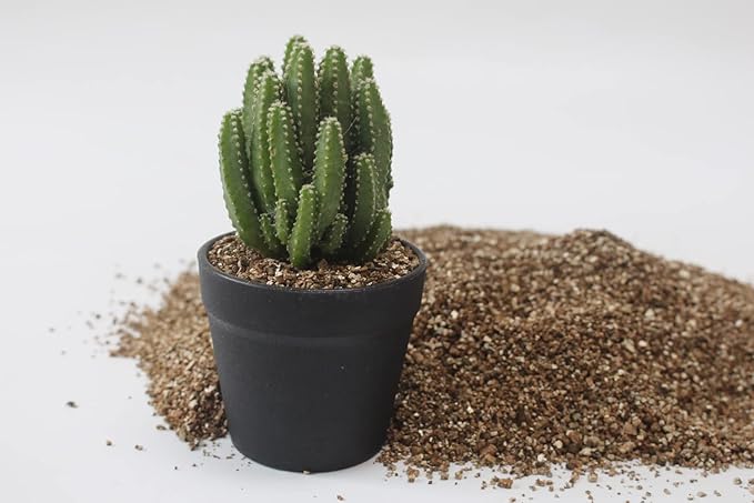 10QT Organic Vermiculite for Plants, Horticultural Soil for Potted Plants, Coarse Hydroponic for Succulent Orchid Gardening Reptiles