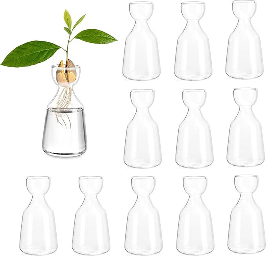 Glasseam Avocado Glass Vase, Handmade Bud Vases Set of 12, Cute Acorn Bulb Small Vase, Clear Flower Vases for Centerpieces, Hydroponic Propagation Plant Vase for Flowers Living Room Dining Table Decor