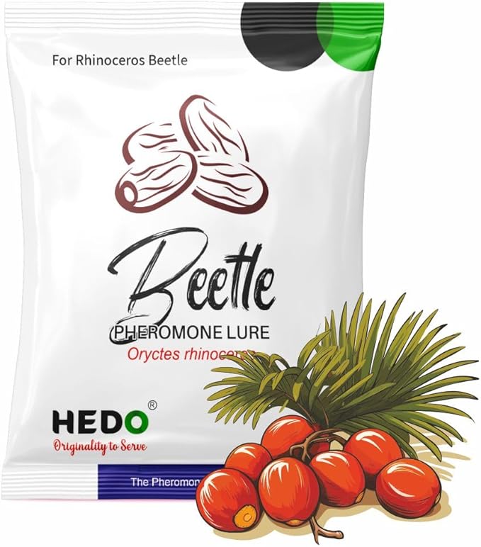 HEDO Pack of 10 Rhinoceros Beetle Pheromone Trap with Lure and Bucket Trap to Control Damage in Coconut