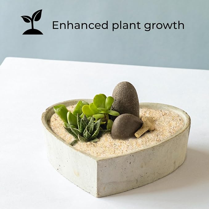 Fine Silica Sand - 10LB - Sand for Plants - Horticultural Sand - Potting Sand Bonsai Cactus & Garden Sand Grit - Terrarium and Plant Sand Soil - Gardening Landscape Sharp Rocks and Grit Fireproof