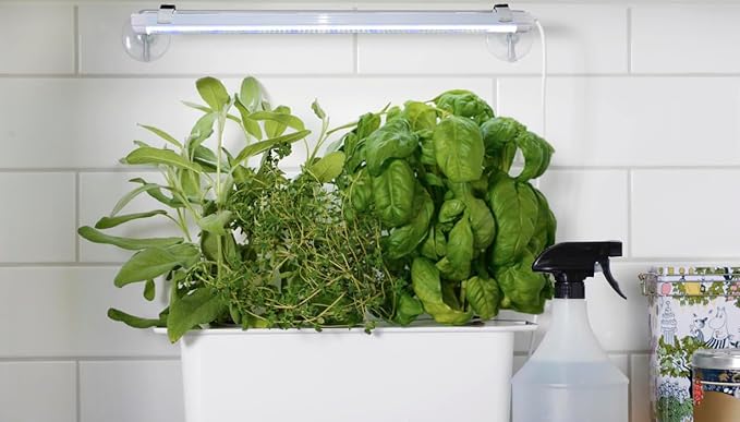 2FT Suction Cup Style Plant Grow Light,12W, LED Grow Lamp Fixture on Wall, Seed Starter kit, 6500K Cool White, Enhanced Blue Light, Height Adjustable, Herbs Growing lamp, IP54