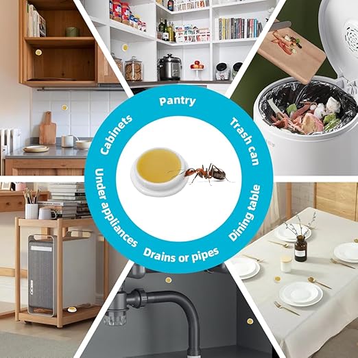 48 Pack Ant Killer Gel Bait, Long Lasting Indoor & Outdoor Ants Bait for Effective Ant Control, Safe & Easy to Use Pest Control for All Common Household Ants, Mess-Free Gel Stations